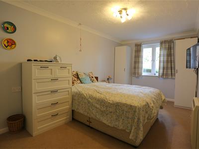 Picture 7